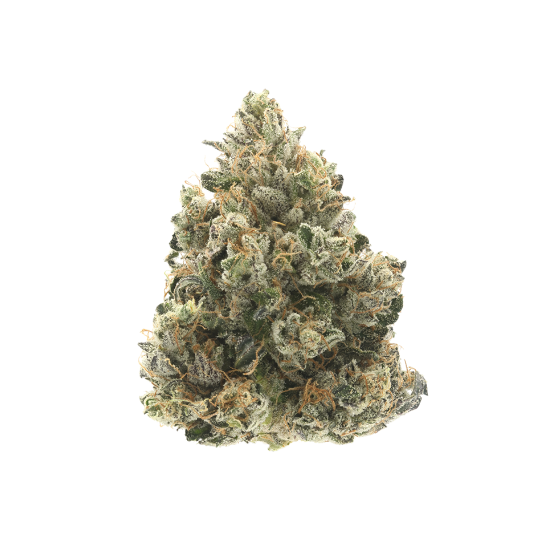 Donny Burger — 710 Labs